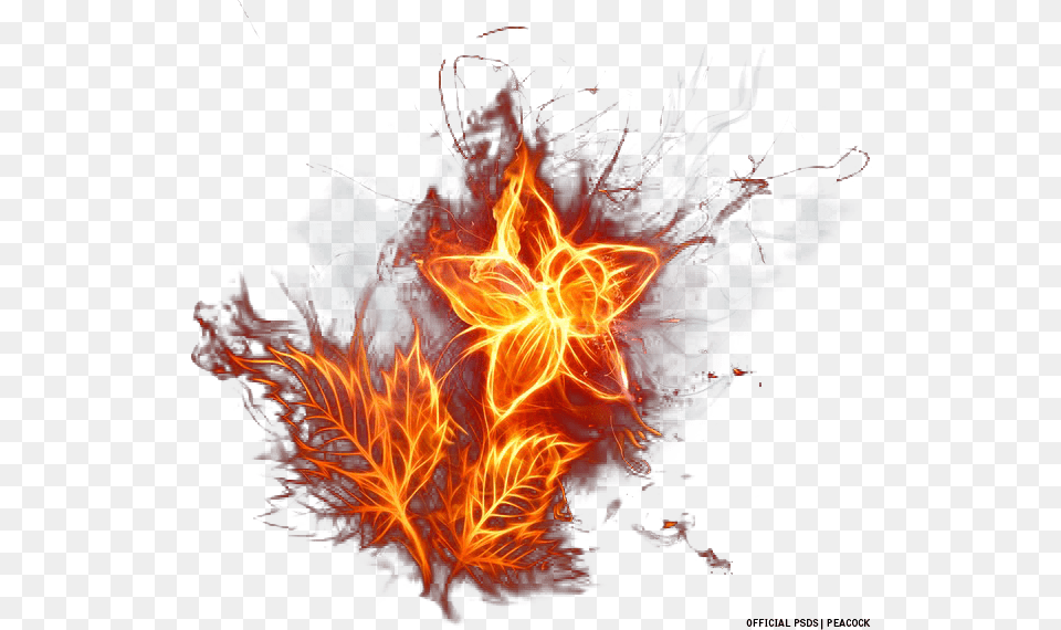 Transparent Fire Flower, Flame, Bonfire Free Png Download