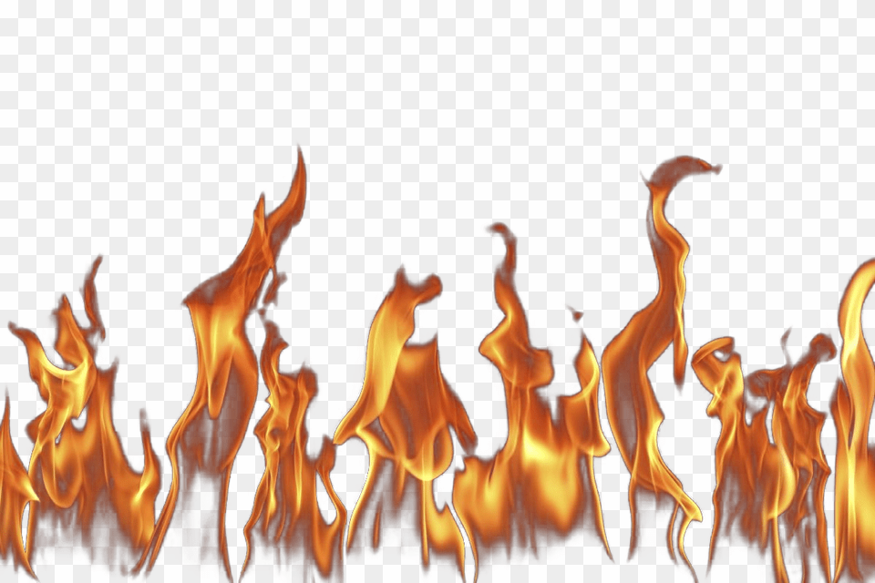 Transparent Fire Gif, Flame, Bonfire Png