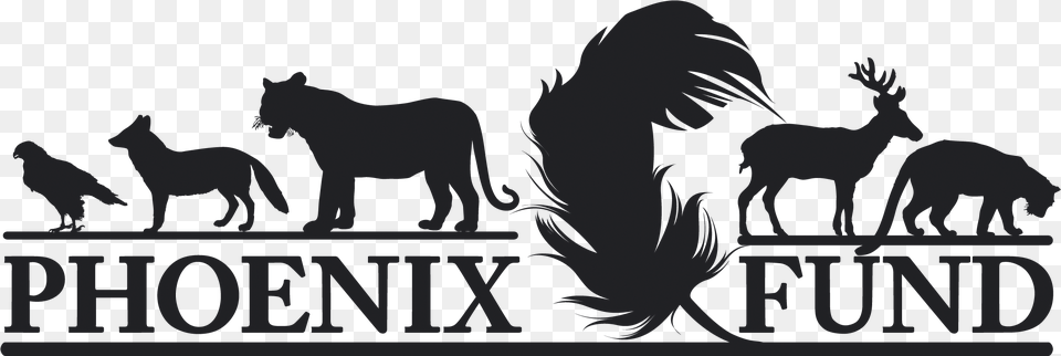 Transparent Fire Phoenix Phoenix Fund Logo, Animal, Lion, Mammal, Wildlife Png