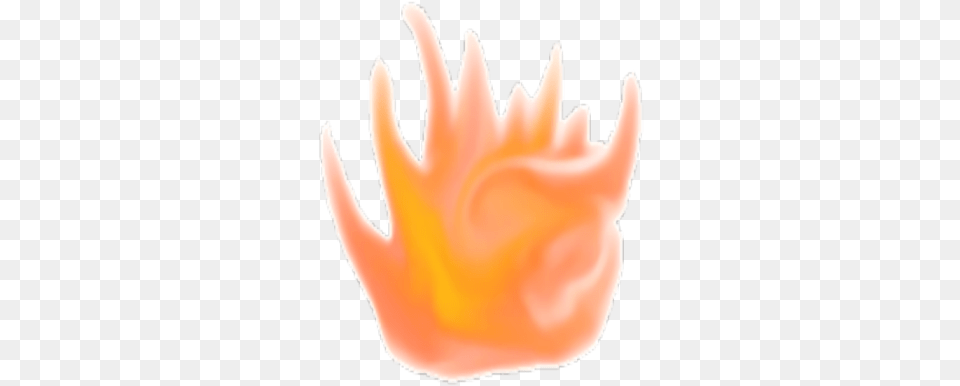 Fire Roblox Flame, Flower, Plant, Petal, Baby Free Transparent Png