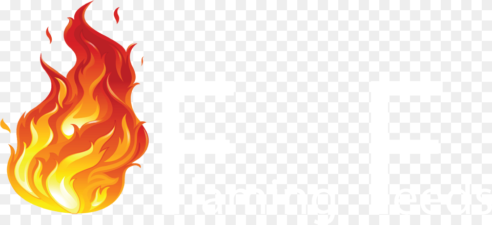 Transparent Fire Vector, Flame, Bonfire Free Png Download