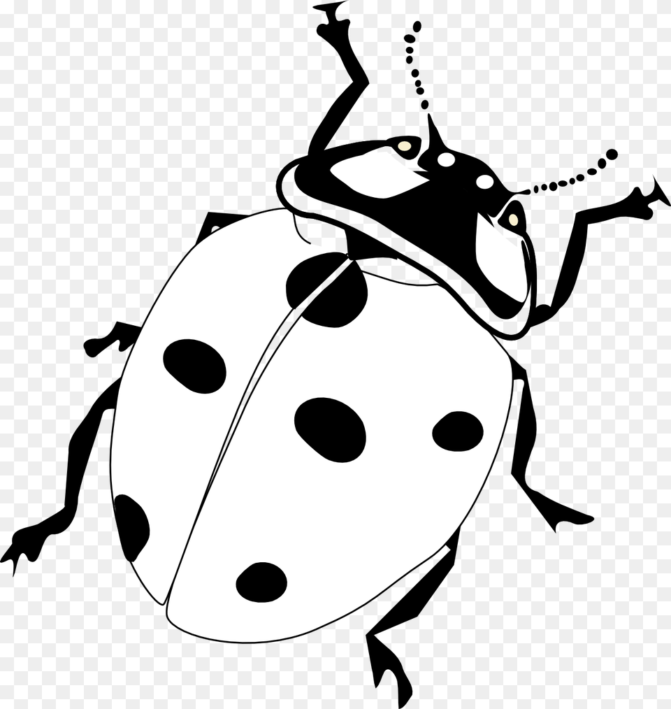 Transparent Firefly Insect Realistic Ladybug Coloring Page, Stencil, Animal, Nature, Outdoors Free Png