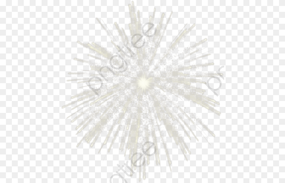 Transparent Fireworks Clipart Black And White Circle, Plant, Chandelier, Lamp Free Png Download