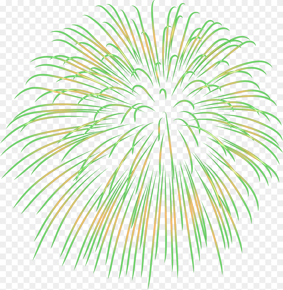 Fireworks Clipart Black And White Green Fireworks Clipart Background, Plant Free Transparent Png