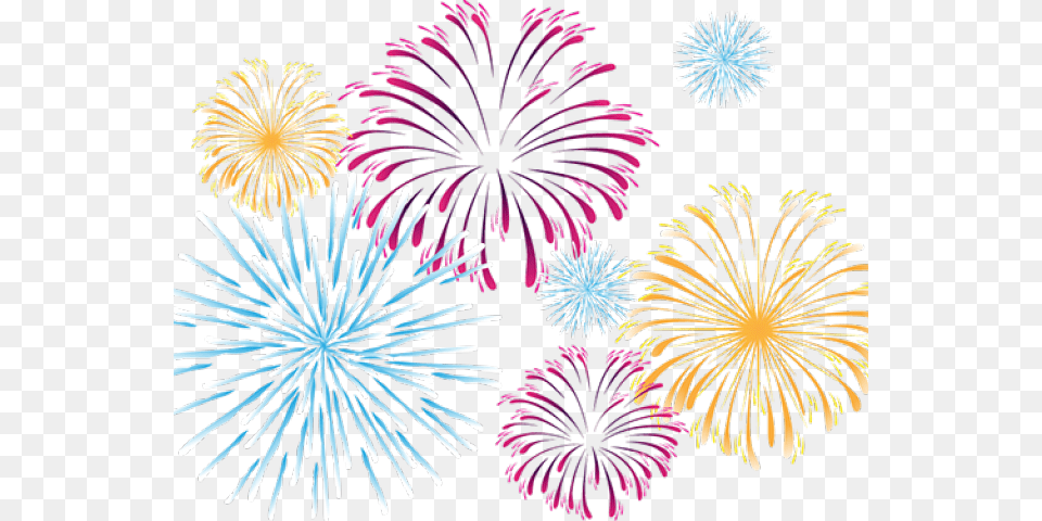 Fireworks Clipart Fireworks, Plant Free Transparent Png