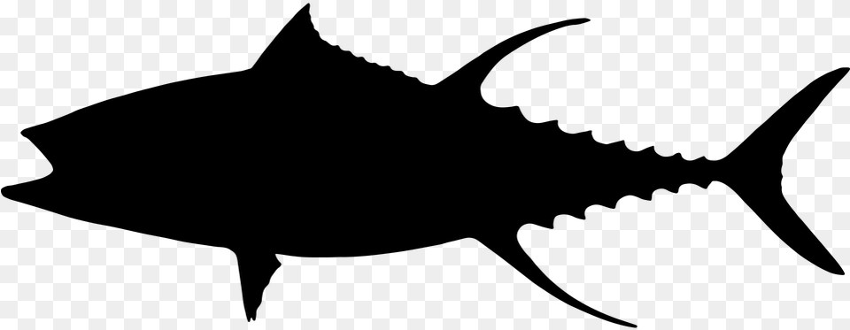 Transparent Fish Clipart Black And White Tuna Silhouette, Gray Free Png Download