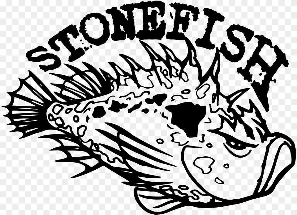 Transparent Fish Outline, Gray Free Png