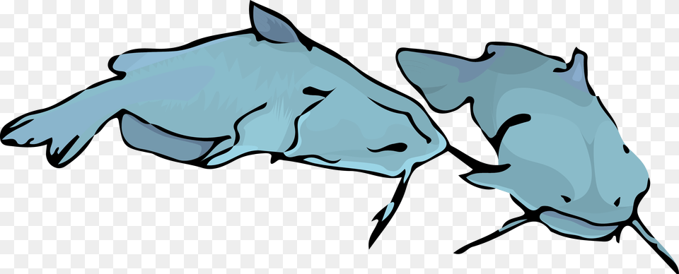 Transparent Fish Silhouette Clipart Clip Art, Animal, Sea Life, Shark, Manta Ray Free Png