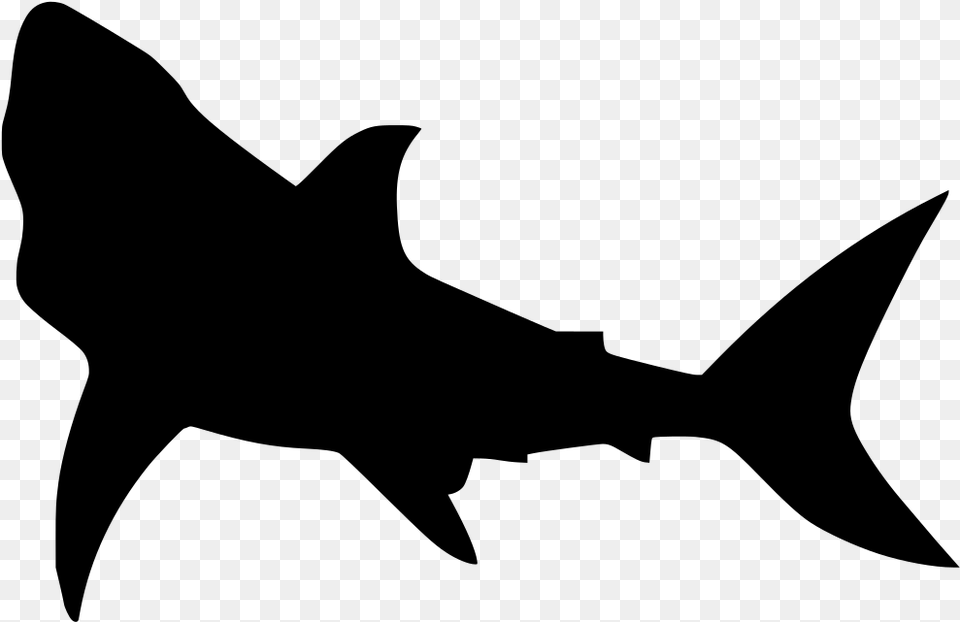 Transparent Fish Swimming Great White Shark Silhouette, Gray Free Png