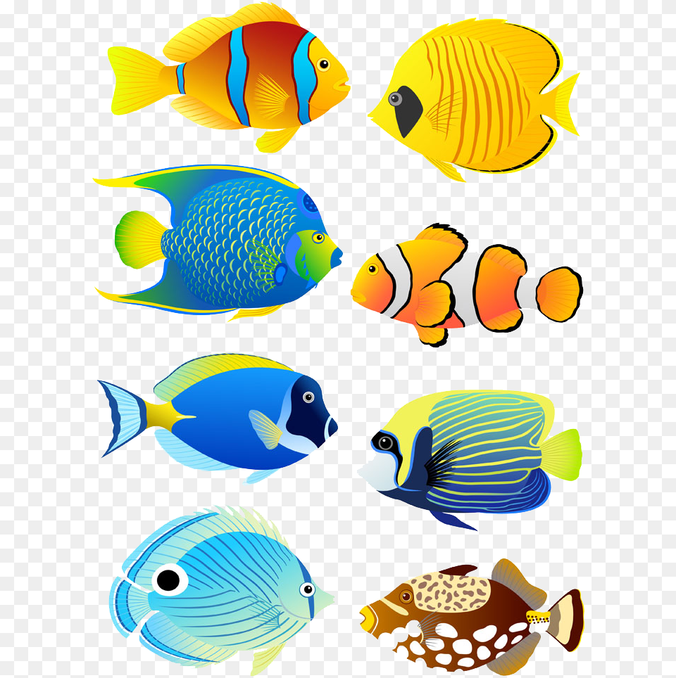 Transparent Fish Tank Clipart Coral Reef Fish Clipart, Angelfish, Animal, Sea Life, Amphiprion Png Image