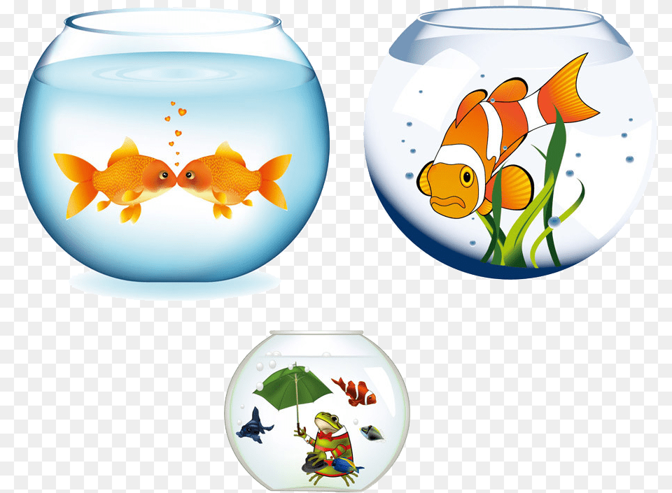Transparent Fish Tank Fish Aquarium Vector, Animal, Sea Life, Water Png Image