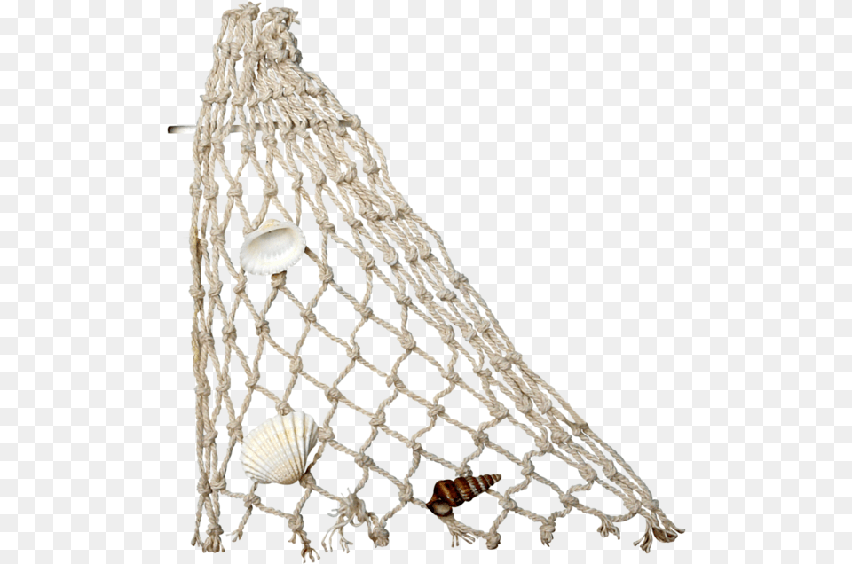 Fishing Net, Animal, Sea Life, Invertebrate, Seashell Free Transparent Png