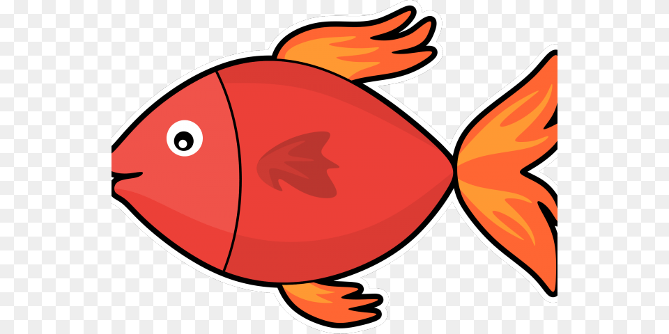 Transparent Fishing Reel Clipart Transparent Background Fish Clipart, Animal, Sea Life, Goldfish Free Png Download