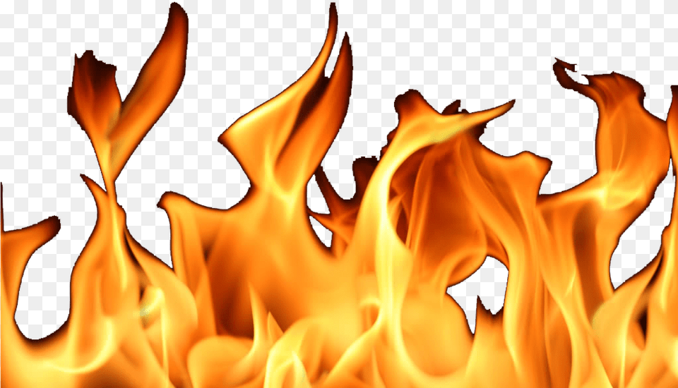 Transparent Flames Gif Fire Gif No Background, Flame, Plant Free Png Download