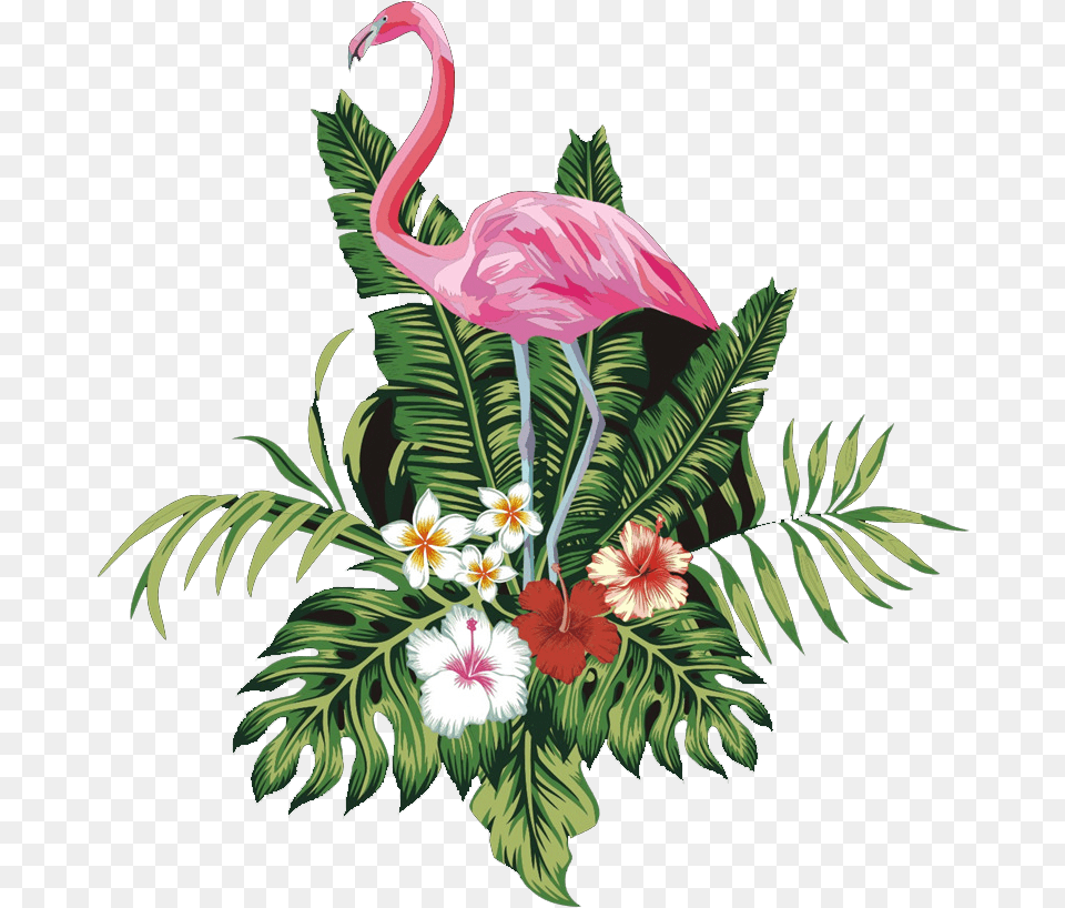 Flamingo Clipart Flamingo, Plant, Art, Pattern, Graphics Free Transparent Png