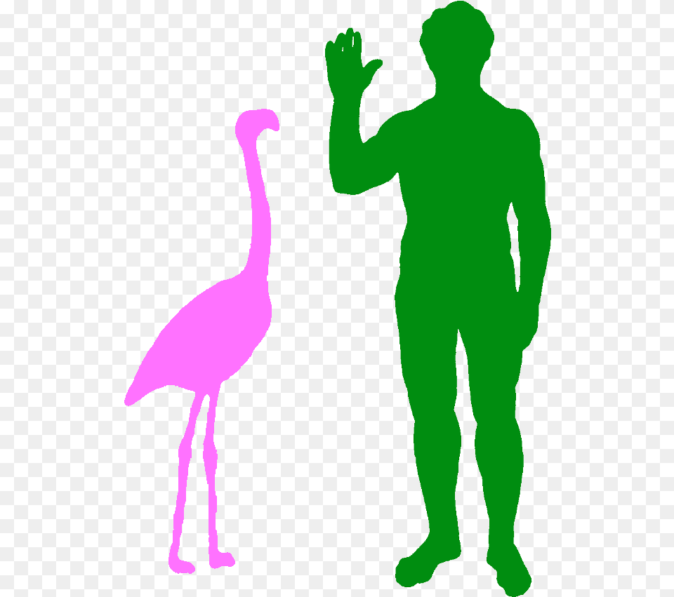 Transparent Flamingo Silhouette Flamingo Compared To Human, Adult, Person, Man, Male Png Image