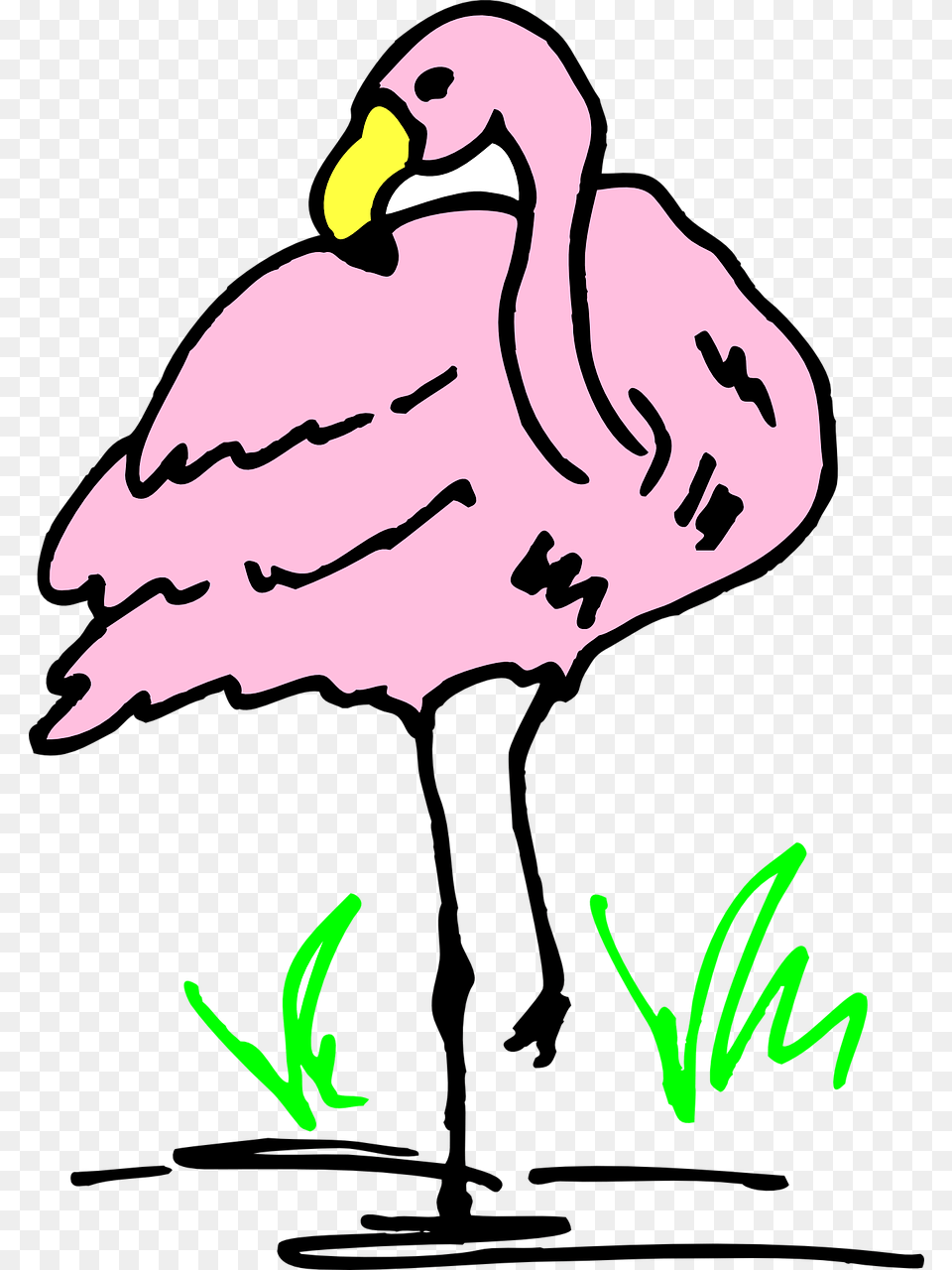 Transparent Flamingo Vector Hewan Flamingo Kartun, Animal, Beak, Bird, Vulture Free Png Download