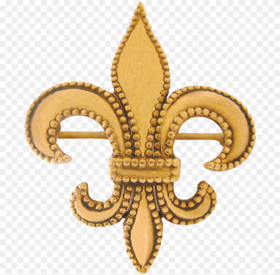 Transparent Fleur De Lys Emblem, Accessories, Jewelry, Animal, Reptile Free Png