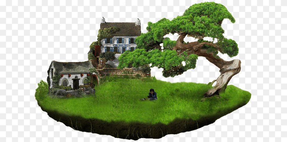 Floating Island, Architecture, Tree, Plant, Moss Free Transparent Png