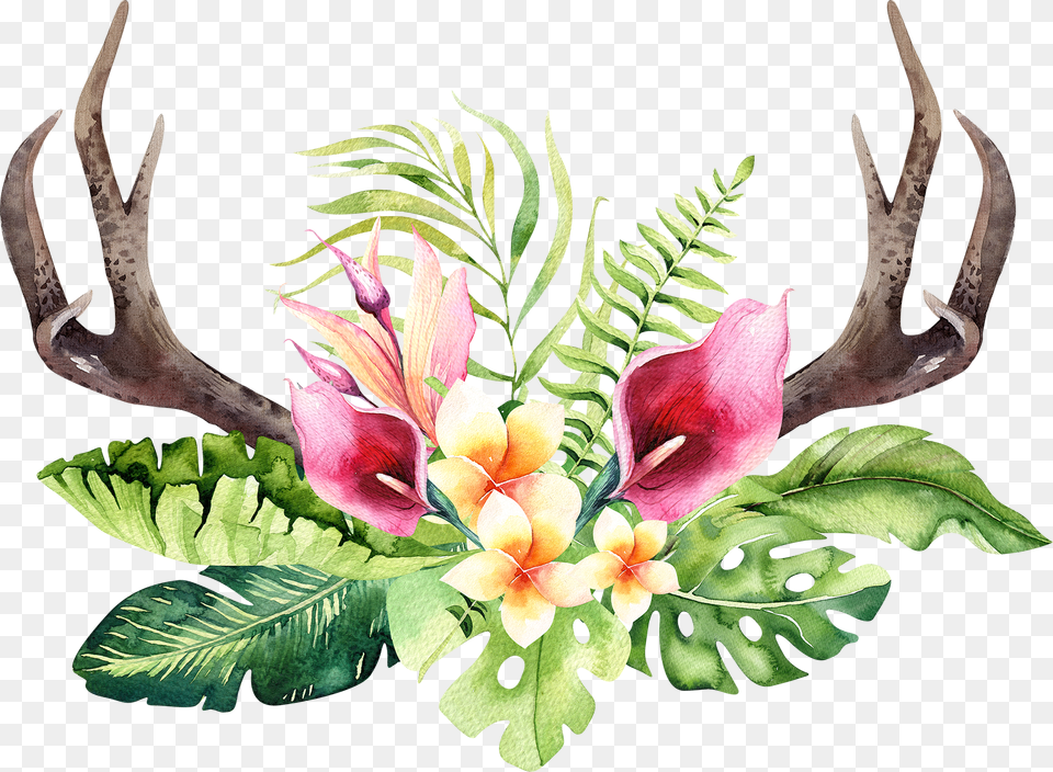 Transparent Floral Antler Clipart Watercolor Tropical Flowers, Art, Plant, Pattern, Graphics Png