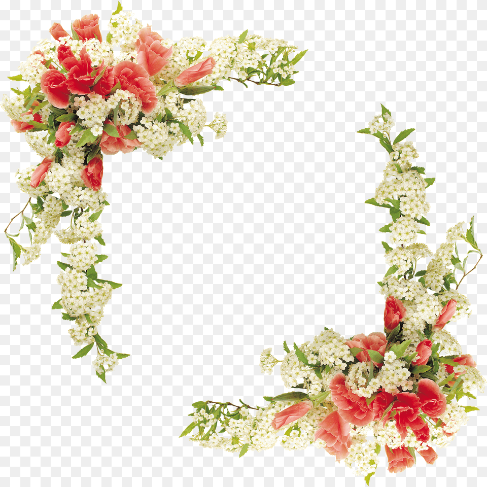 Floral Borders Real Flower Border Design, Rattle, Toy Free Transparent Png