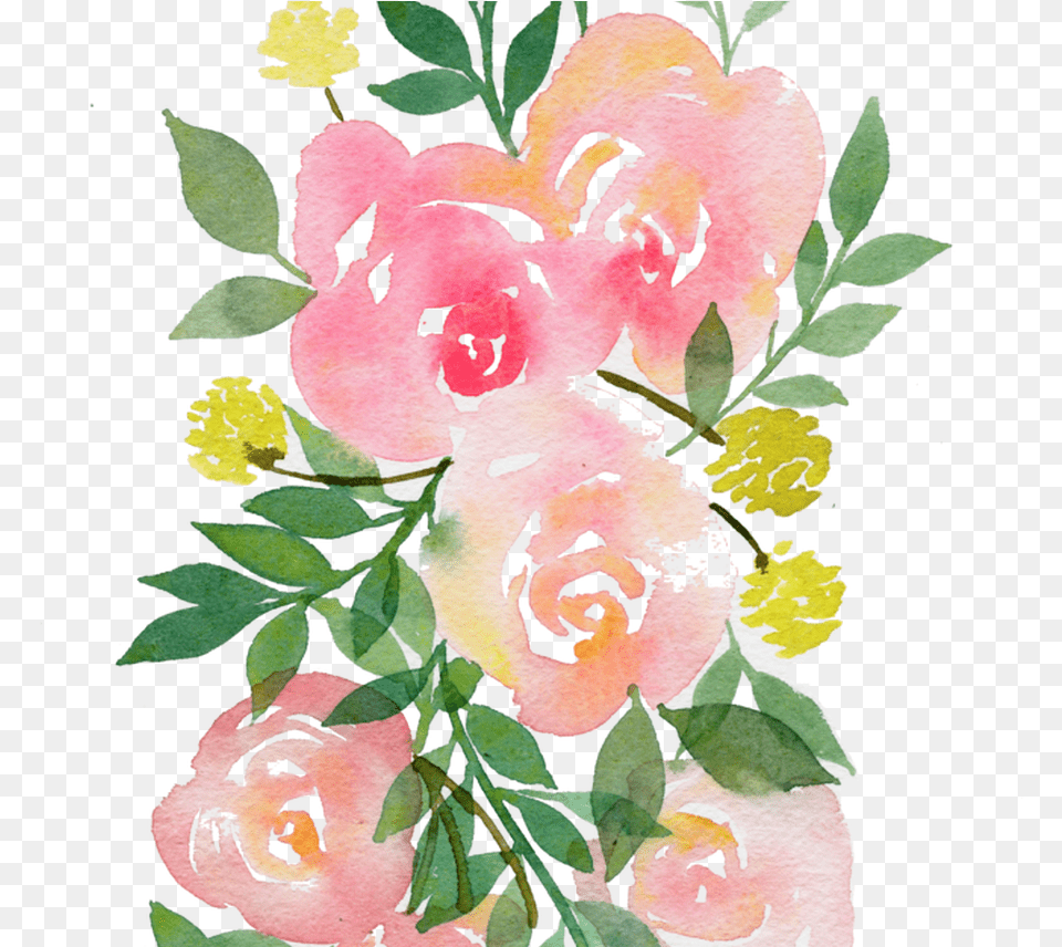 Transparent Floral Watercolor Transparent Watercolor Pink Flowers, Art, Pattern, Graphics, Floral Design Png Image