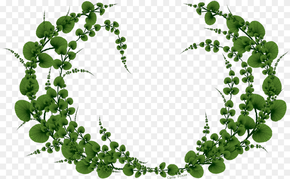 Transparent Floral Wreath, Green, Pattern, Accessories, Plant Free Png