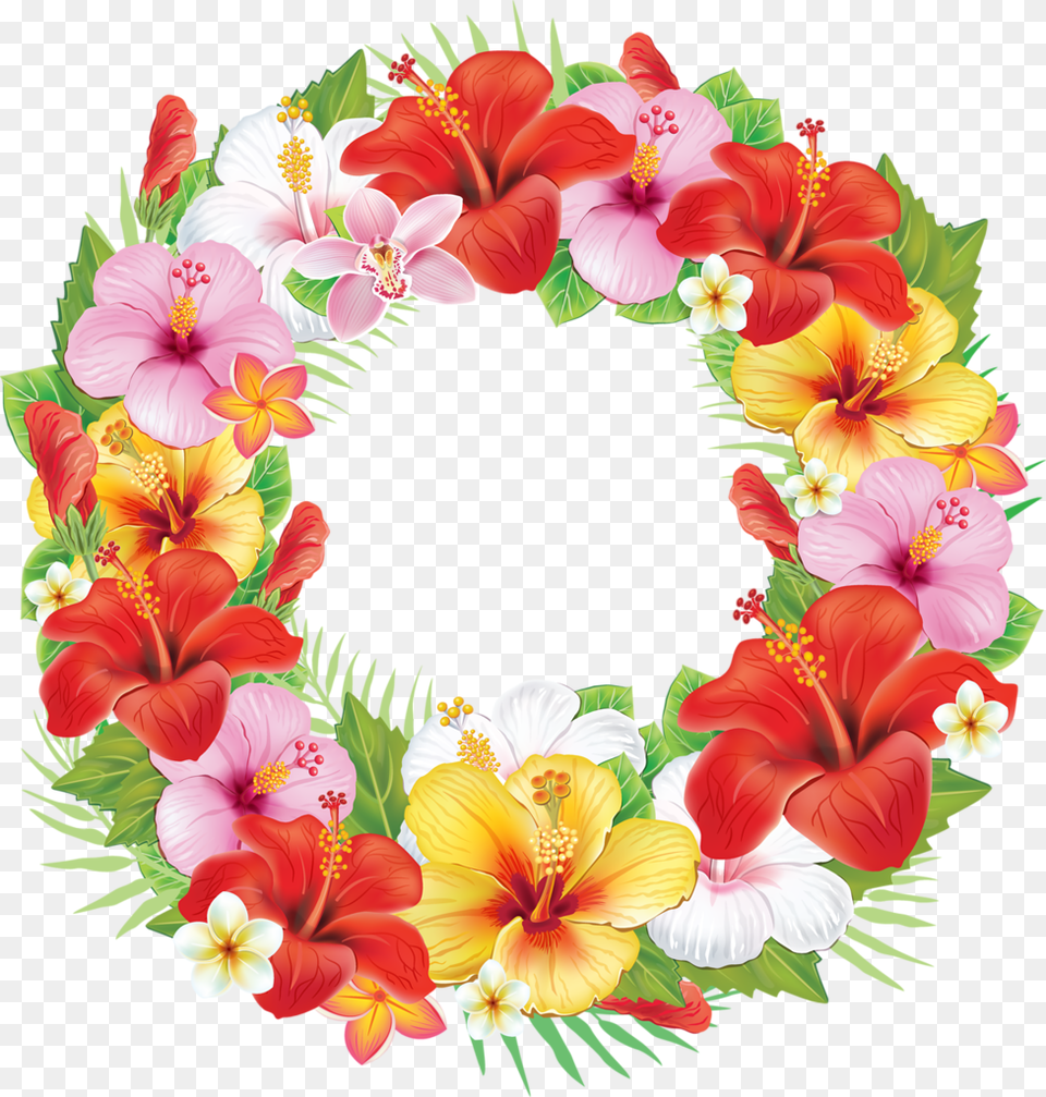 Transparent Floral Wreath Clipart Tropical Flower Wreath, Flower Arrangement, Plant Free Png Download
