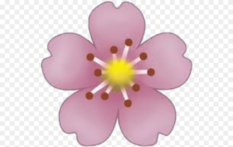 Transparent Florecitas Flower Emoji Sticker, Anther, Petal, Plant, Cherry Blossom Free Png