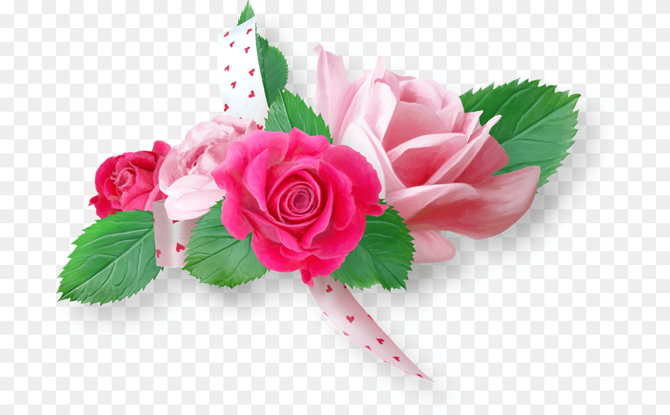 Transparent Flores Animadas Flores Animadas, Flower, Flower Arrangement, Flower Bouquet, Plant Png