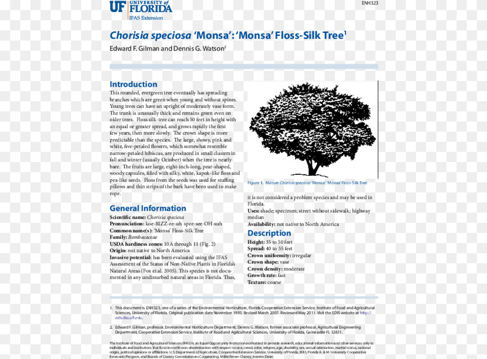 Transparent Florida Shape Tree, Plant, Oak, Sycamore Free Png Download