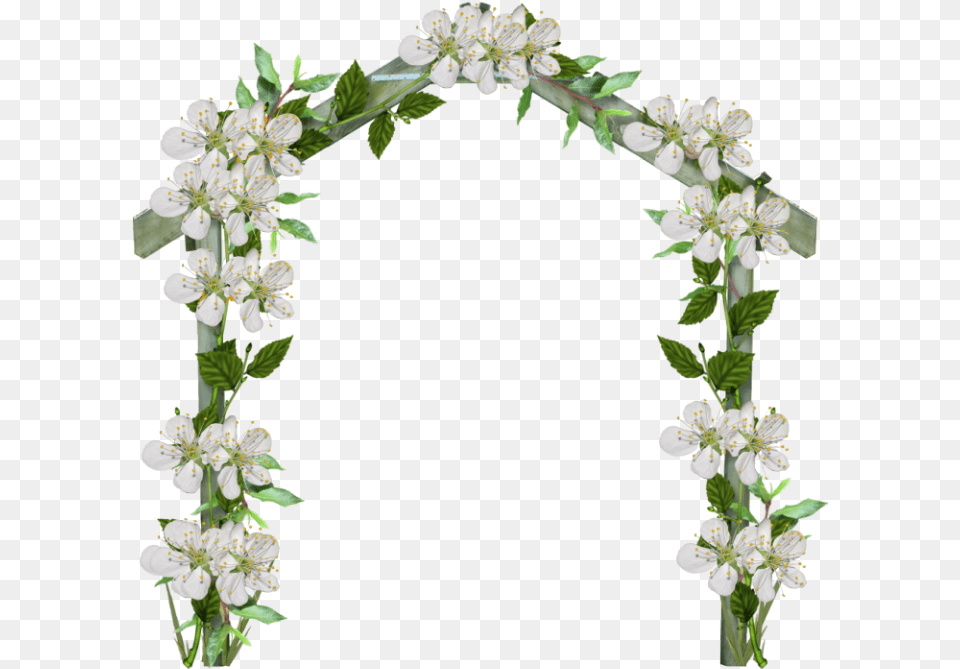 Flower Arch, Architecture, Plant, Flower Arrangement Free Transparent Png
