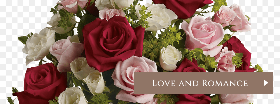 Flower Banner Type For Flower Arrangement, Flower Arrangement, Flower Bouquet, Plant, Rose Free Transparent Png