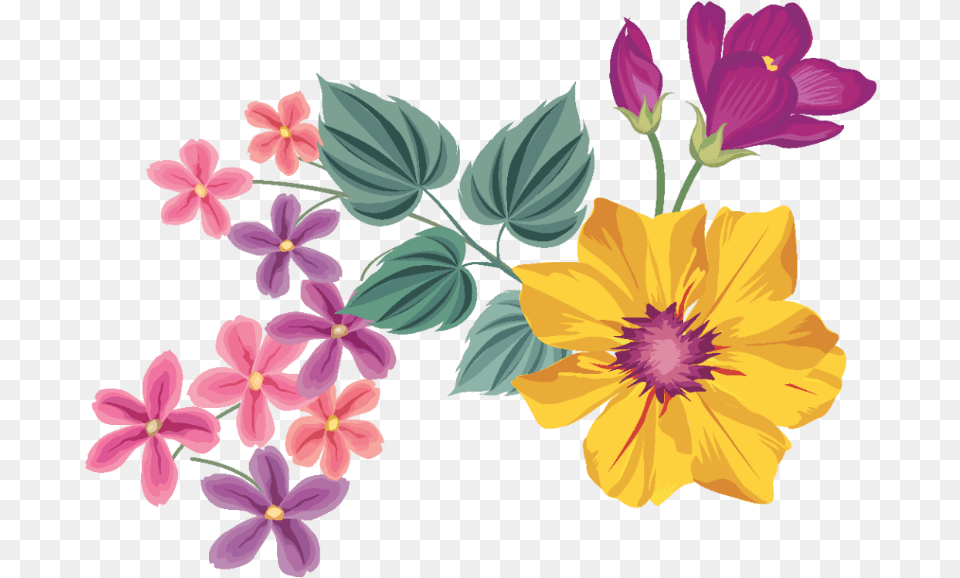 Transparent Flower Border Wallpapers Frame Border Flowers Download, Geranium, Petal, Plant, Anemone Free Png