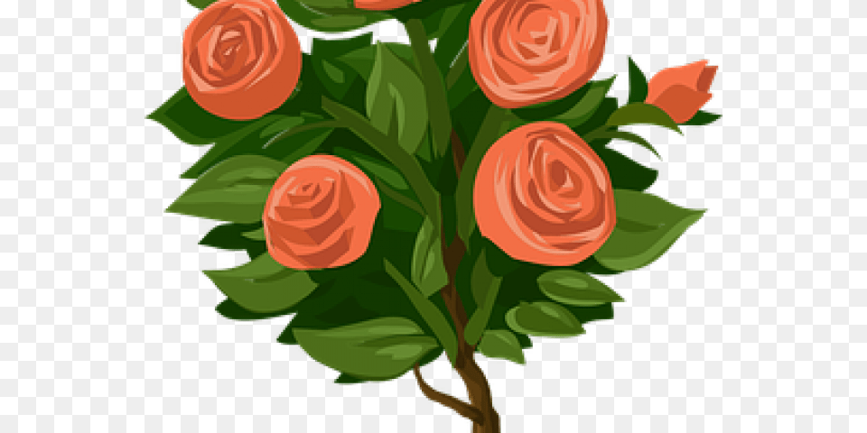Transparent Flower Bush Rosebush Clipart, Art, Floral Design, Graphics, Pattern Free Png Download