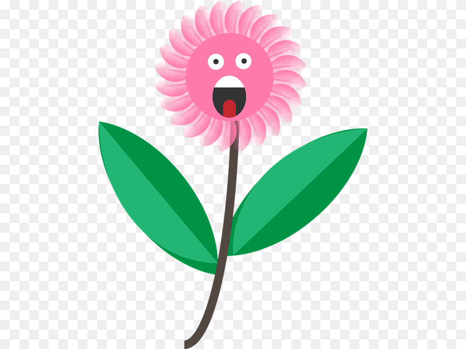Transparent Flower Cartoon Flower Cartoon Face, Plant, Dahlia, Petal, Leaf Png Image