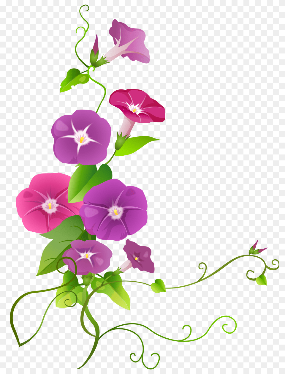 Flower Cliparts Clip Art, Floral Design, Graphics, Pattern, Plant Free Transparent Png