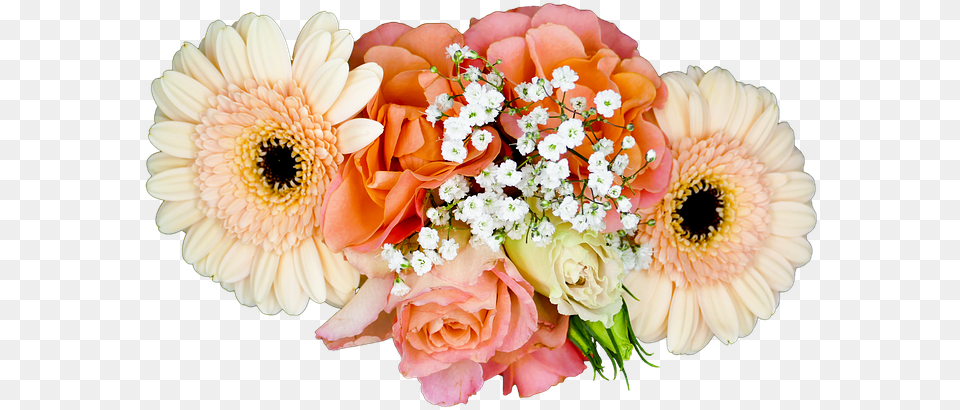 Transparent Flower Cluster, Plant, Flower Bouquet, Flower Arrangement, Daisy Free Png