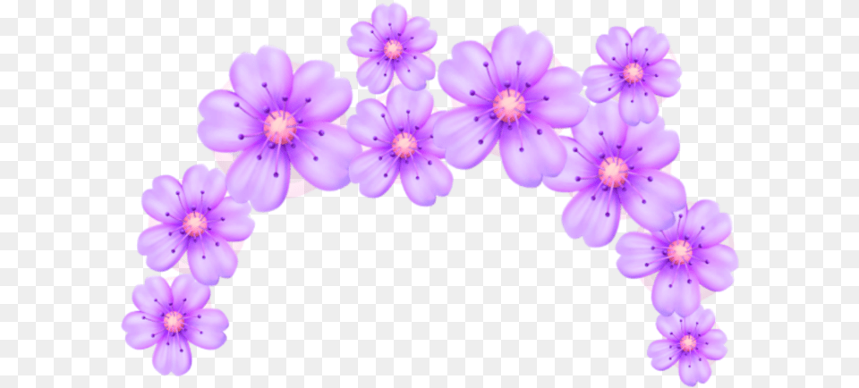 Transparent Flower Crown Emoji, Geranium, Plant, Purple, Accessories Free Png
