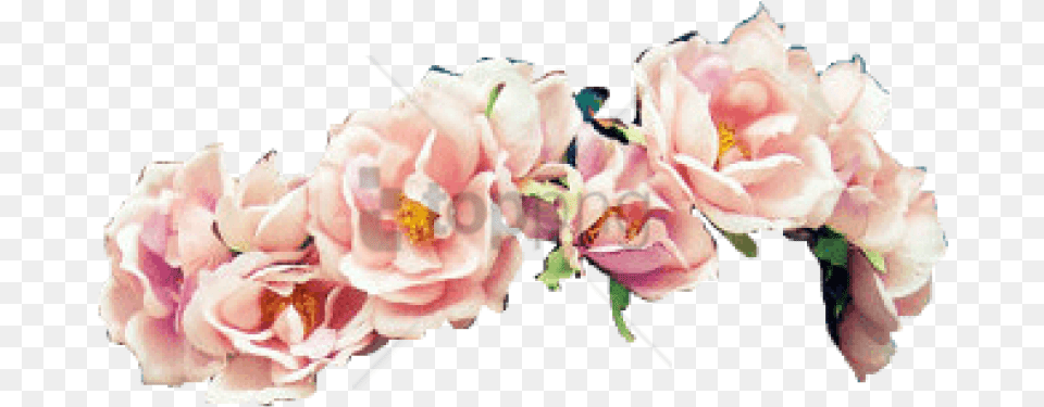 Transparent Flower Crown Image With Corona De Flores, Petal, Plant, Rose, Flower Arrangement Png