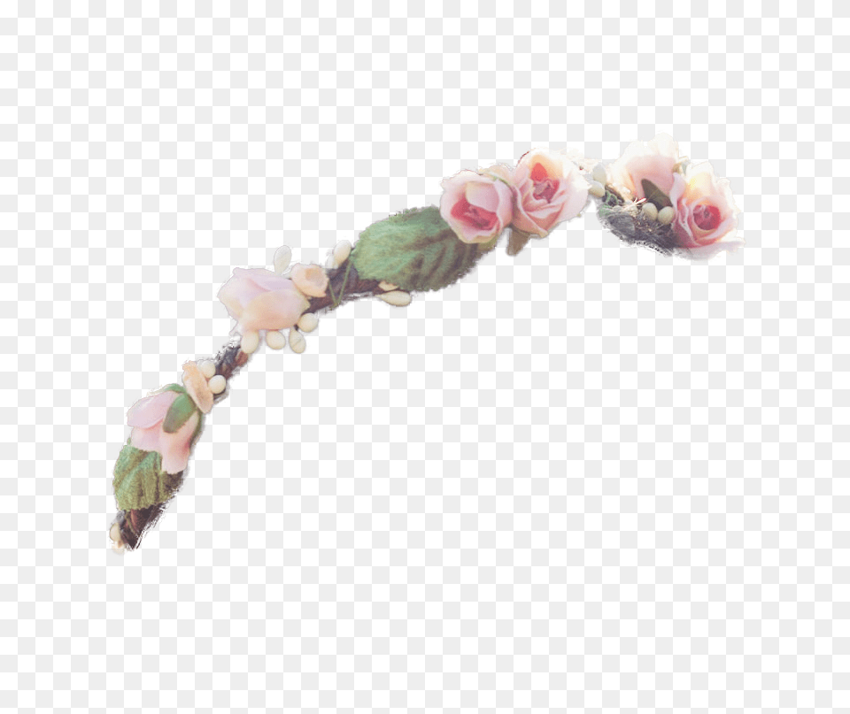Transparent Flower Crowns Picture Free Icons Flower Crown Transparent, Accessories, Hair Slide, Plant, Rose Png Image