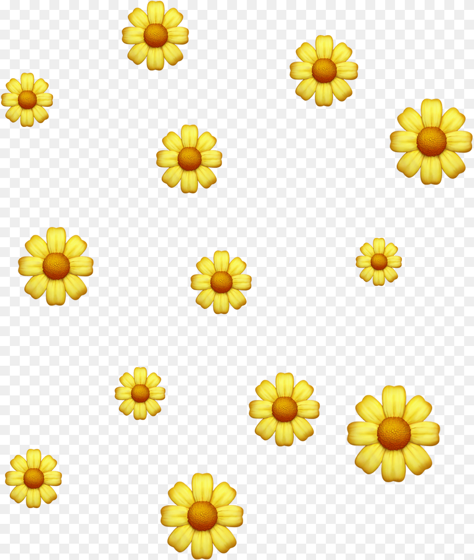 Transparent Flower Emoji Emoji Background Picsart, Daisy, Petal, Plant Png Image