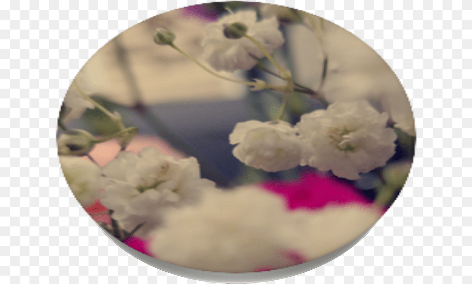 Flower Field Hydrangea, Flower Arrangement, Geranium, Petal, Plant Free Transparent Png