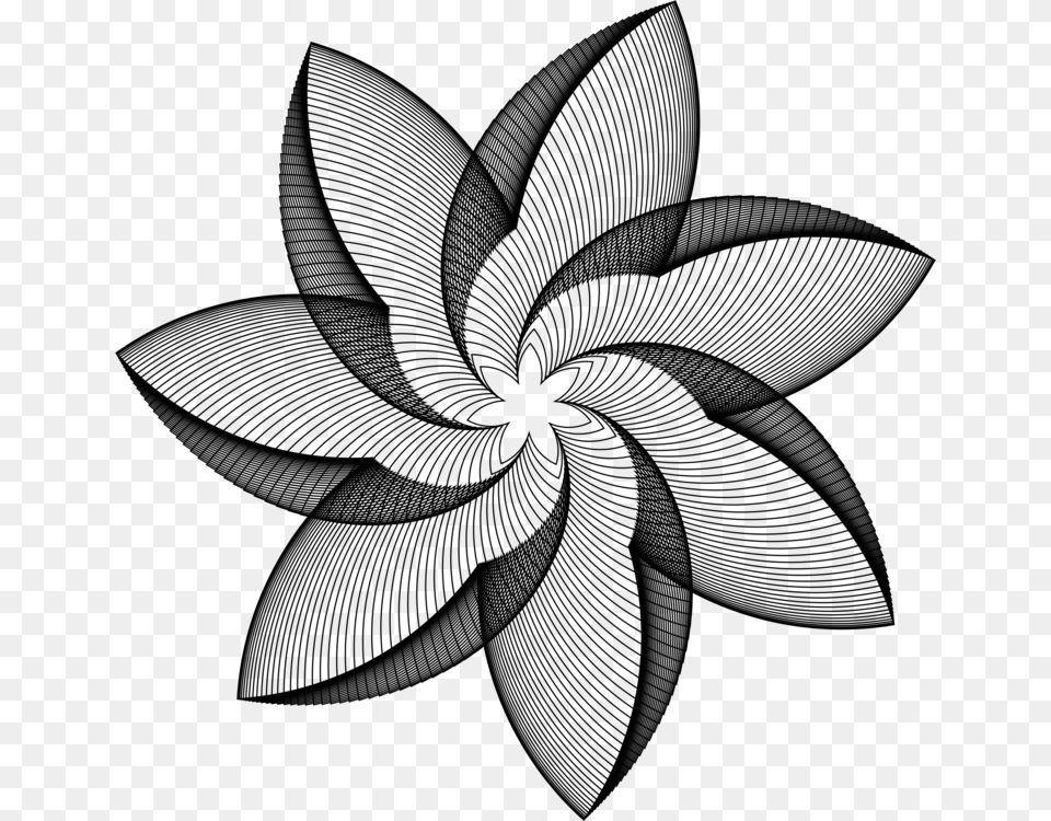 Transparent Flower Line Geometric Flower, Black Free Png