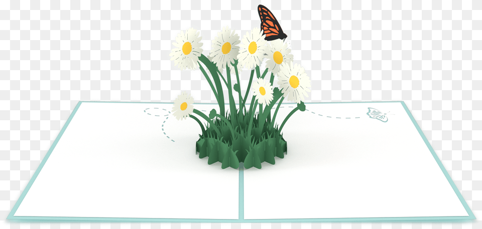 Flower Patch Daisy, Flower Arrangement, Furniture, Plant, Table Free Transparent Png