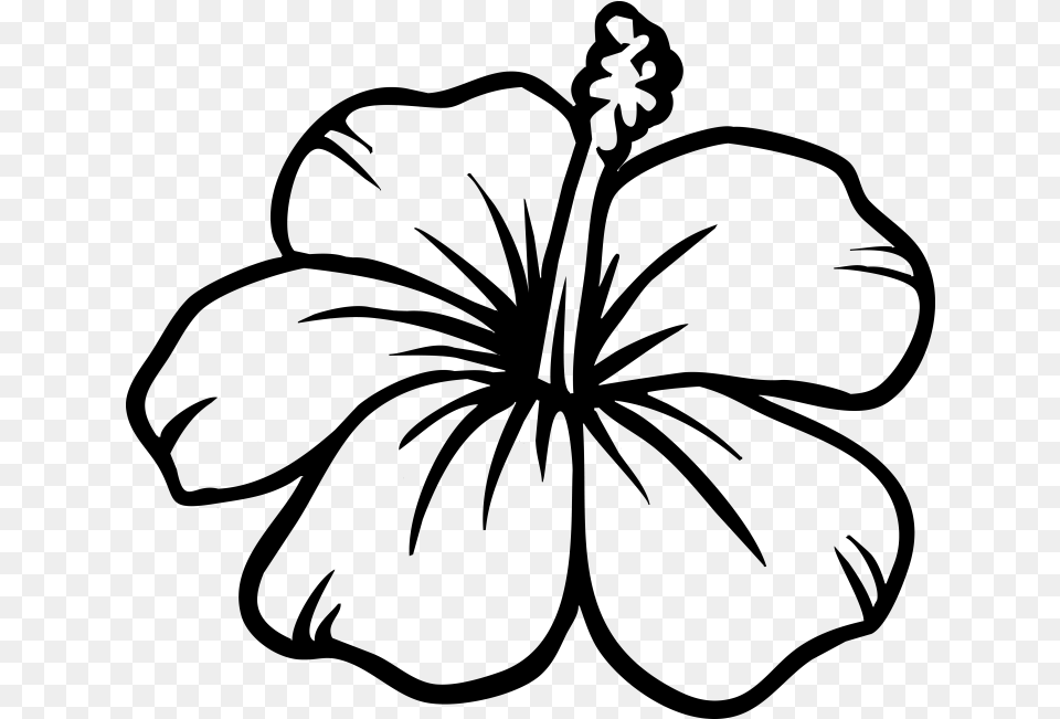 Transparent Flower Silhouette, Gray Free Png Download