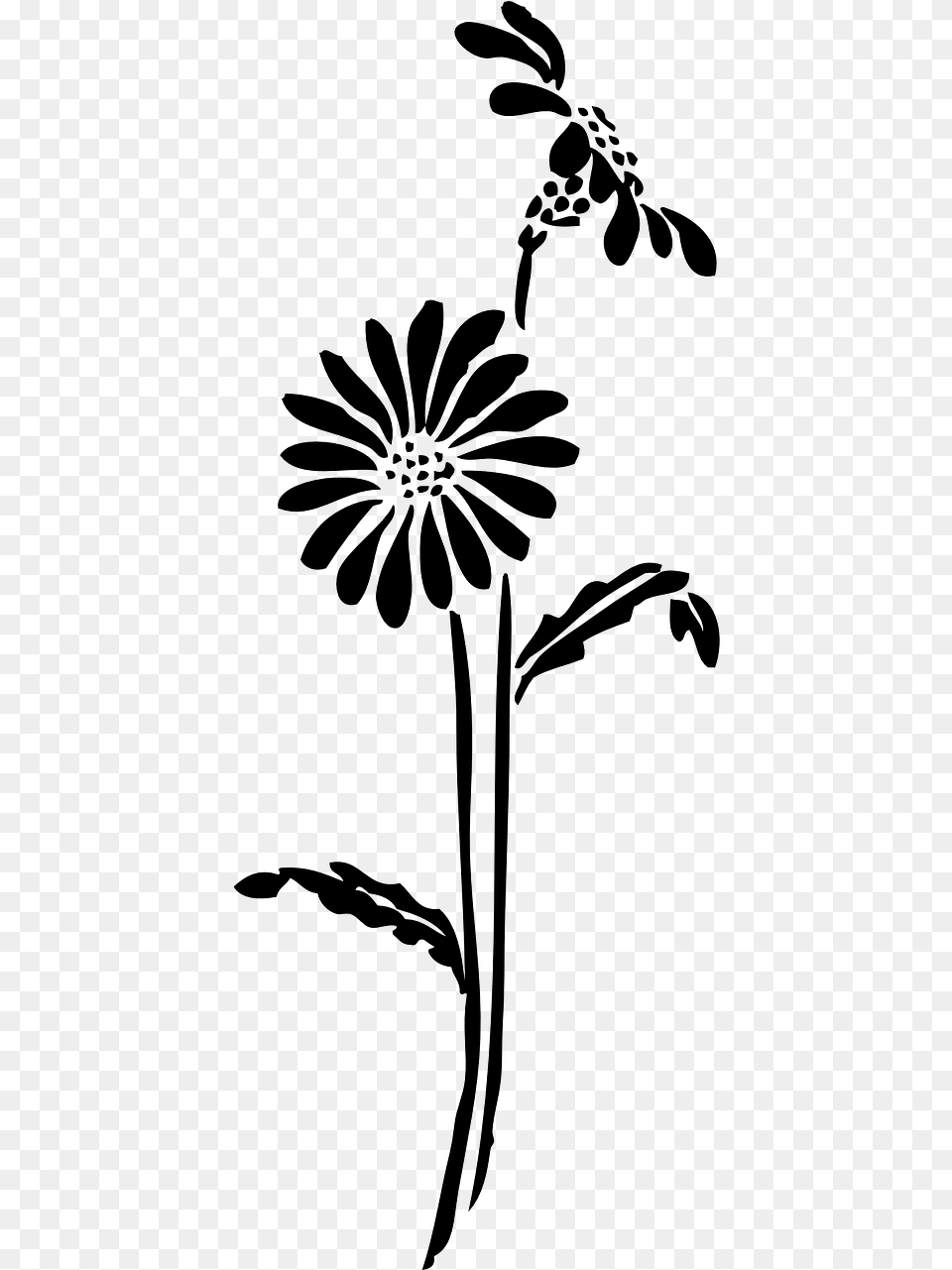 Transparent Flower Silhouette, Gray Free Png Download