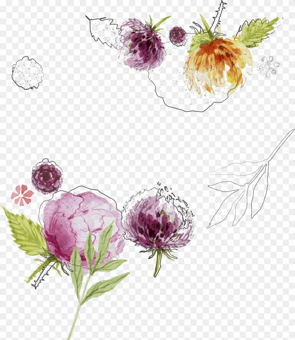Flower Sketch Spring Flowers Background Vector, Dahlia, Plant, Art, Graphics Free Transparent Png