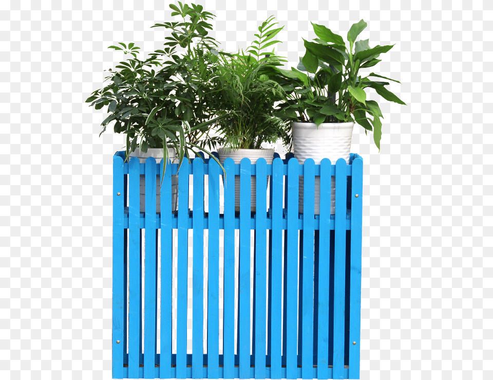 Transparent Flower Stand Houseplant, Fence, Nature, Outdoors, Plant Free Png