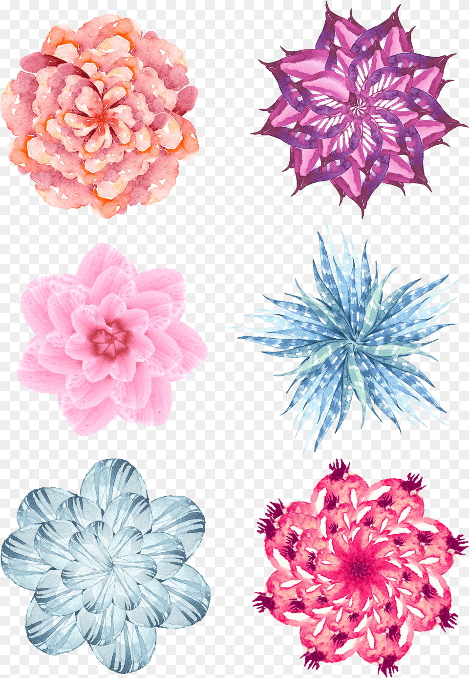 Flower Vector, Toy Free Transparent Png